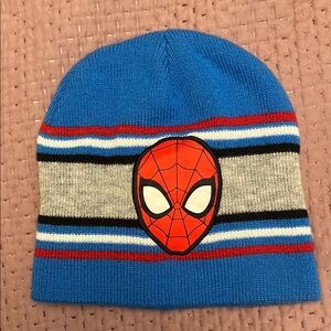 Striped Blue Beanie with Spider Design